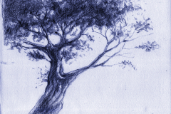 tree_015-B_vinicius-chagas