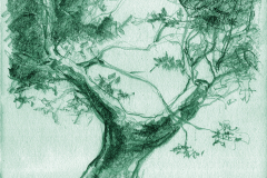 tree_044_b_vinicius-chagas